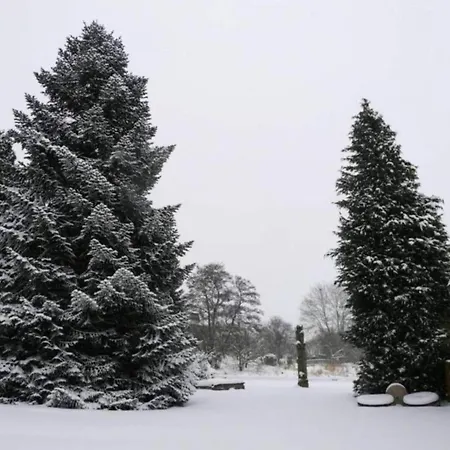 In Germany With Terrace Διαμέρισμα