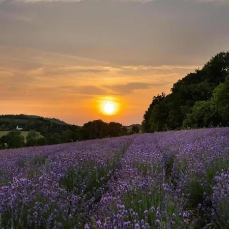 In Germany With Terrace *