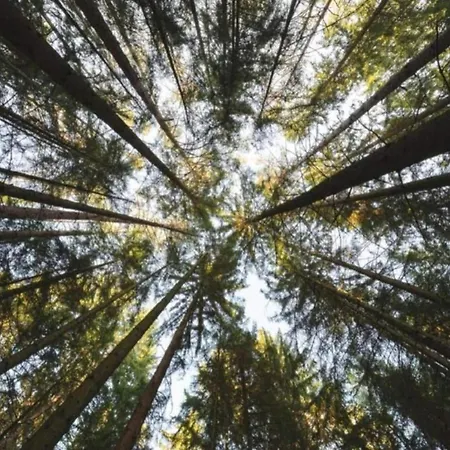 In Germany With Terrace * Bredenborn