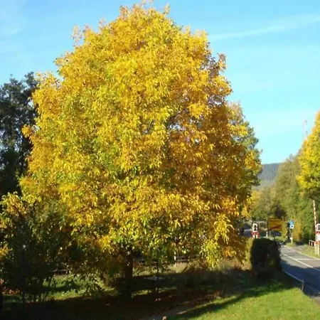 In Germany With Terrace