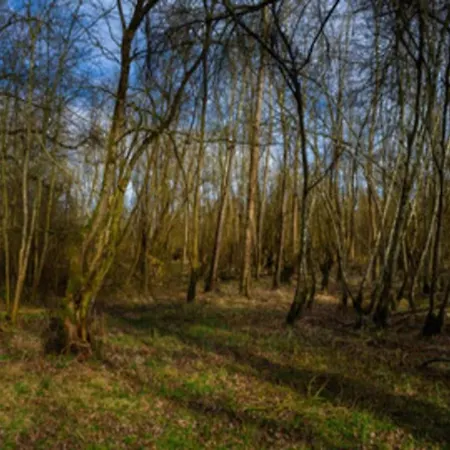 Διαμέρισμα In Germany With Terrace *