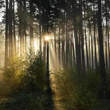 Διαμέρισμα In Germany With Terrace Bredenborn