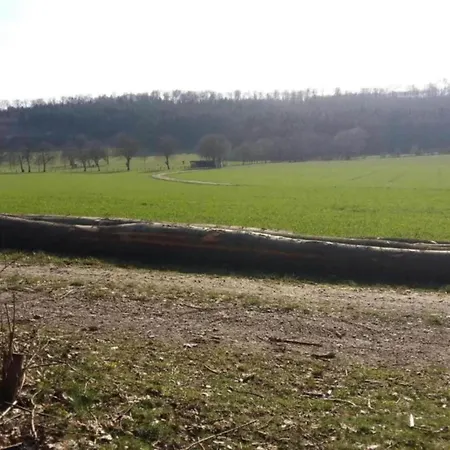 In Germany With Terrace *