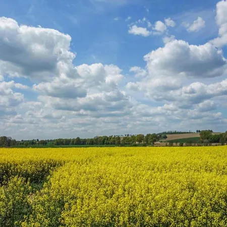 Διαμέρισμα In Germany With Terrace