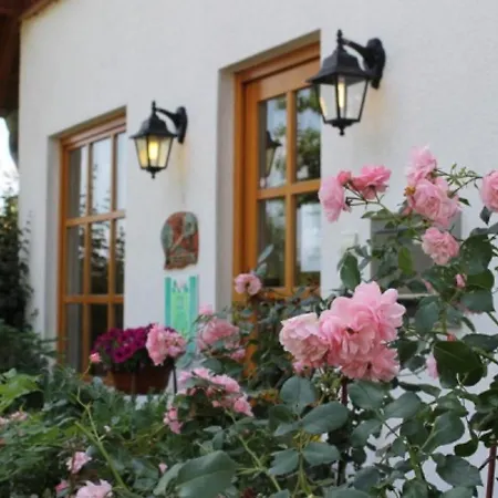 In Germany With Terrace Bredenborn