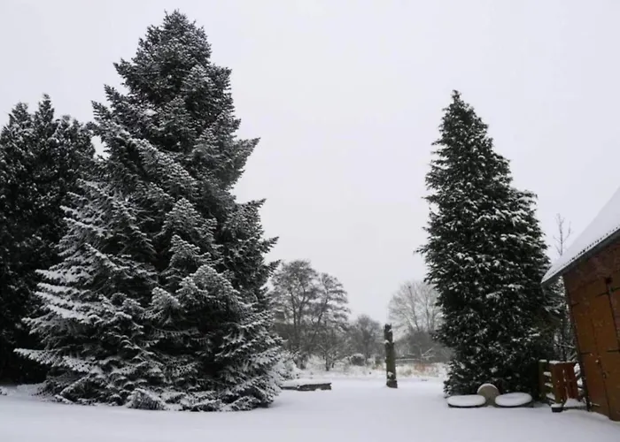 In Germany With Terrace דירה