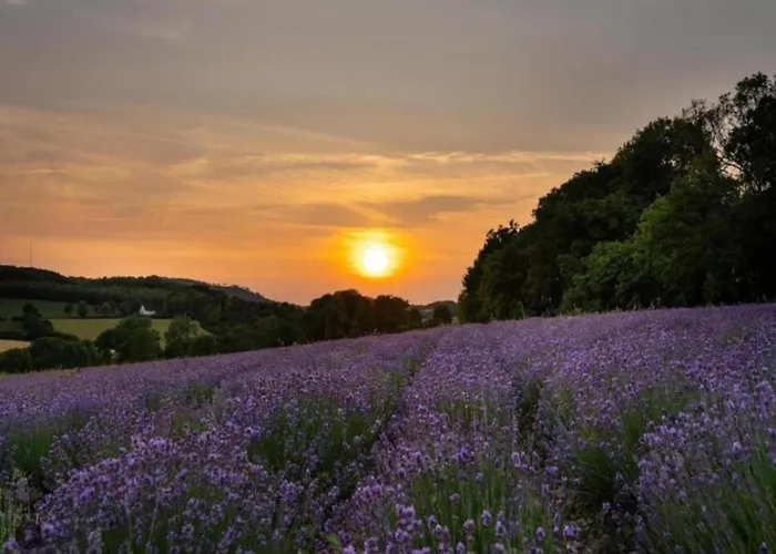 In Germany With Terrace *