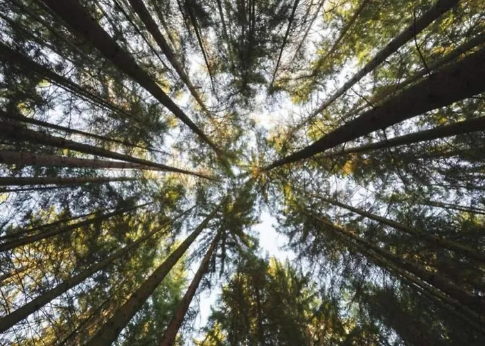 In Germany With Terrace * Bredenborn