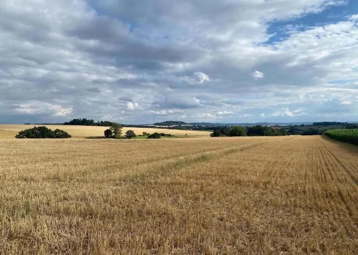 דירה In Germany With Terrace Bredenborn