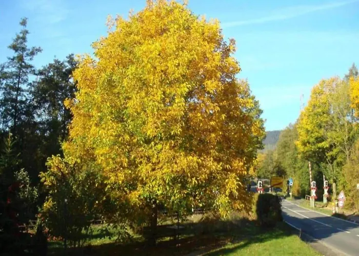 In Germany With Terrace