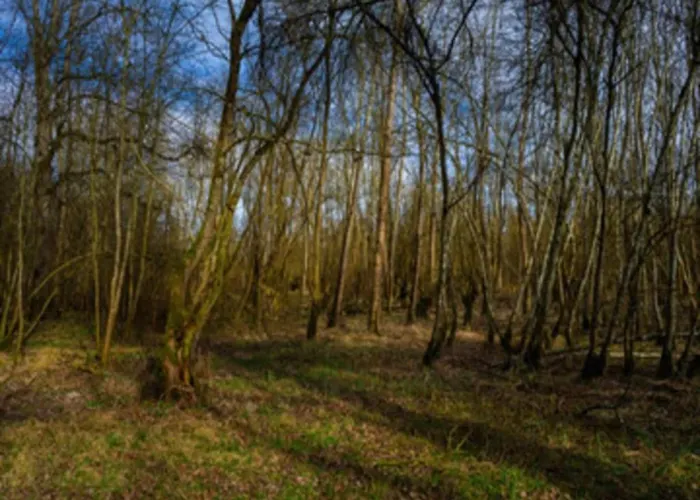 דירה In Germany With Terrace *