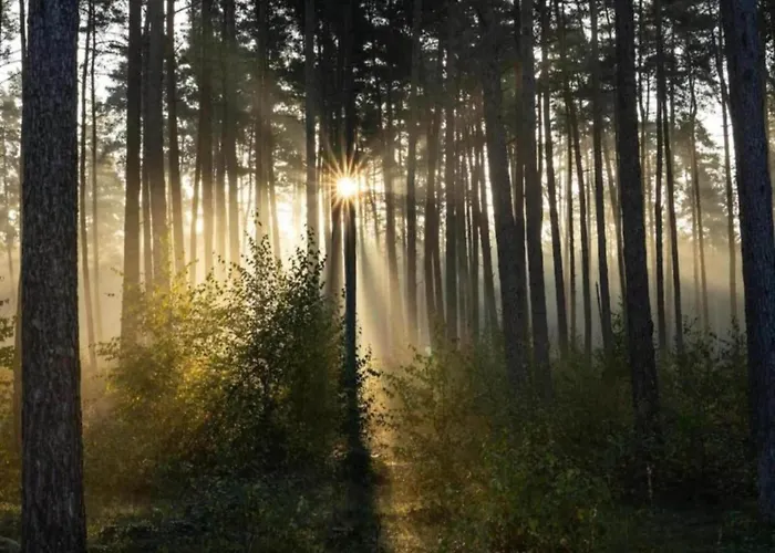 דירה In Germany With Terrace Bredenborn