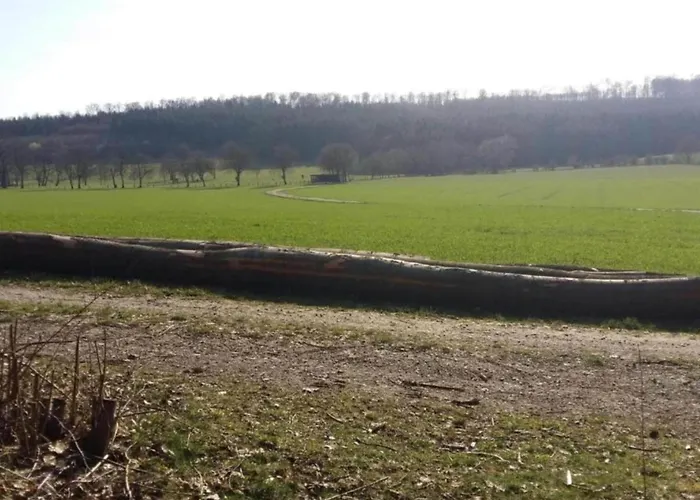 In Germany With Terrace *