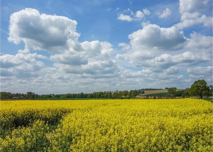 דירה In Germany With Terrace