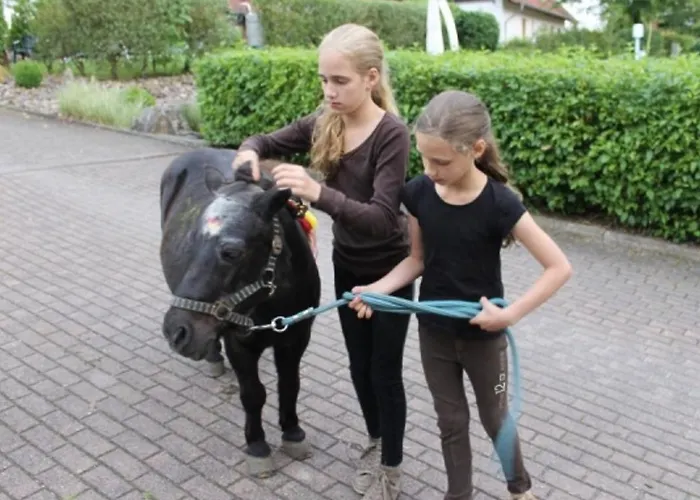 In Germany With Terrace דירה