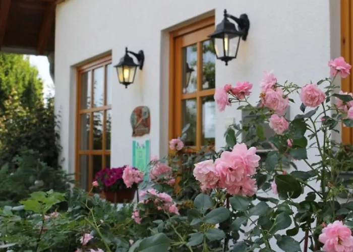 In Germany With Terrace Bredenborn